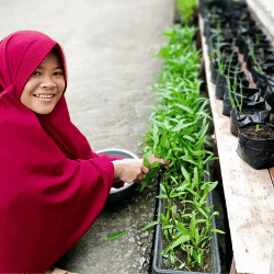 Kegiatan Kreatif & Kemandirian